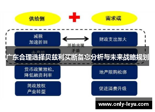 广东合理选择贝兹利买断备忘分析与未来战略规划