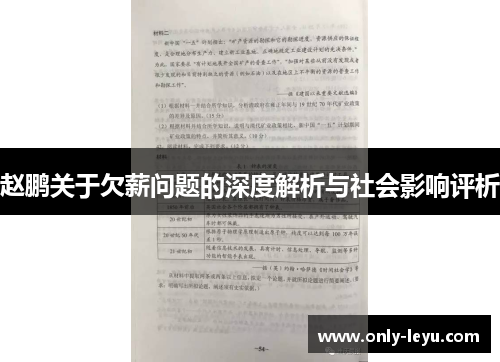 赵鹏关于欠薪问题的深度解析与社会影响评析