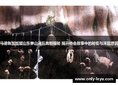 马德鲁加加盟山东泰山背后真相揭秘 揭开转会故事中的秘密与深层原因